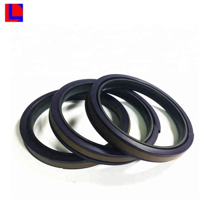 High precision PTFE Seal oil seal gas seal for hydraulic